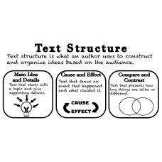 2.10B Text structure Estructura de Texto Bilingual